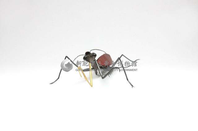 Insects_ mantis藏品圖，第3張