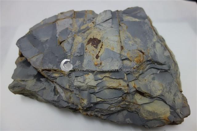 矽化頁岩藏品圖，第1張