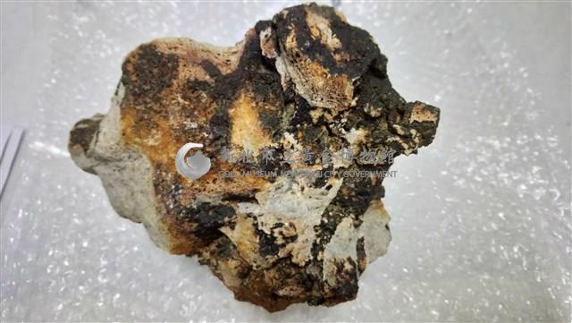 矽化安山岩藏品圖，第1張