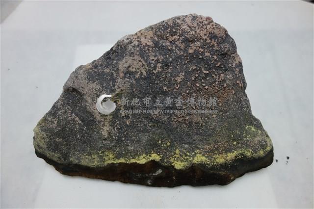 含化石之岩石藏品圖，第1張