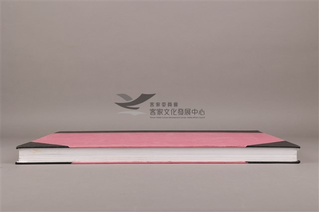 中華日報 2004 上(1月5日-6月30日)藏品圖，第6張