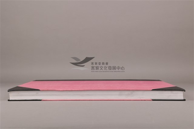 中華日報 2003 下(7月1日-12月31日)藏品圖，第6張