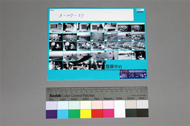 印樣A-27-37藏品圖，第2張