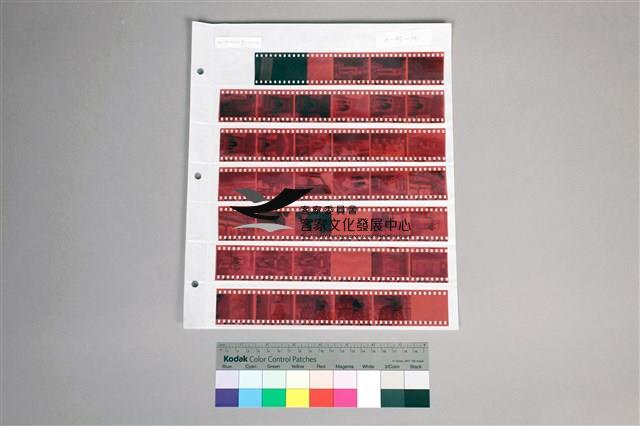 135彩色負片A-43-36藏品圖，第1張