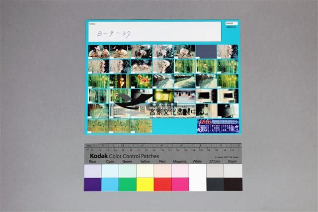 135彩色負片B-9-37藏品圖，第4張