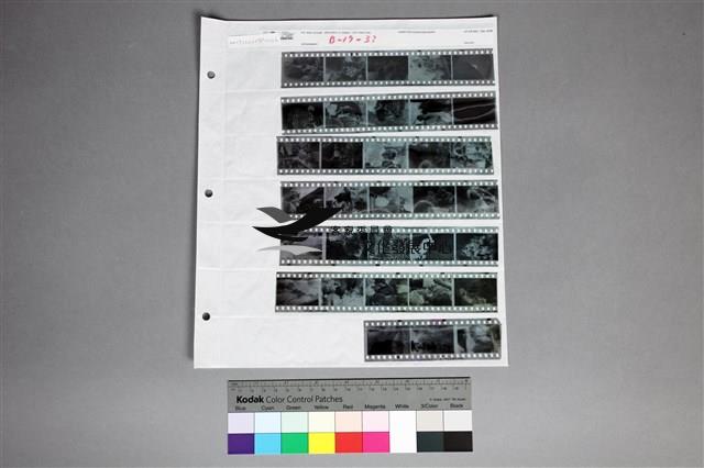 印樣B-17-33藏品圖，第1張