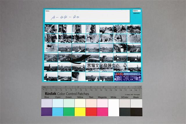 印樣A-44-40藏品圖，第2張