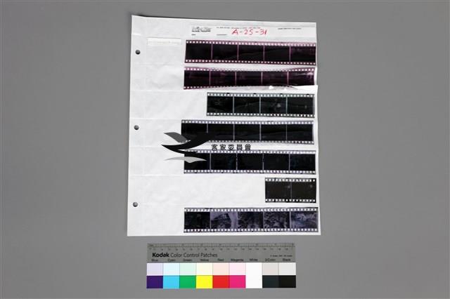 印樣A-25-31藏品圖，第1張