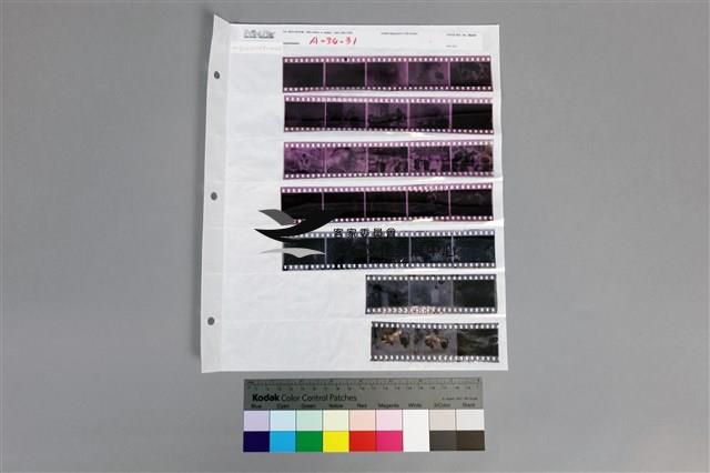 135黑白負片A-34-31藏品圖，第1張