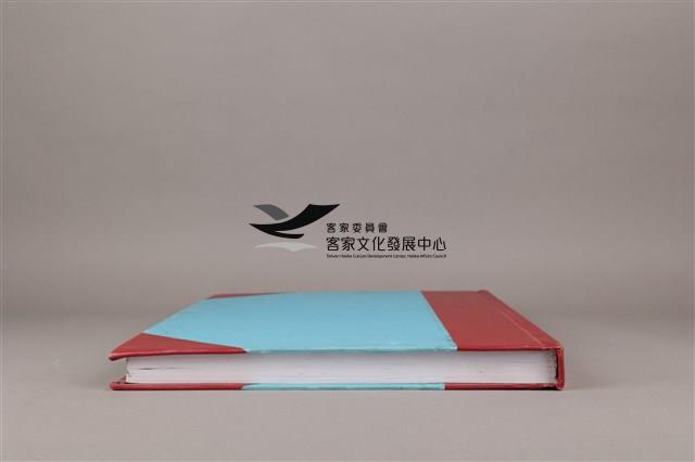 中華日報 2010 上(1月5日-6月30日)藏品圖，第8張