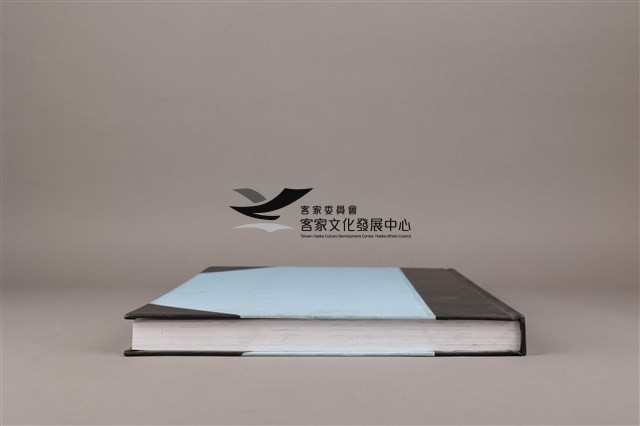 中華日報 2008　上(1月4日-6月30日)藏品圖，第8張