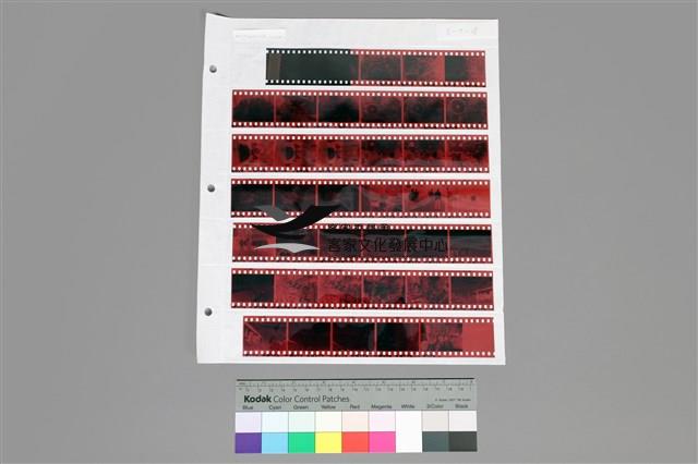 135彩色負片B-7-38藏品圖，第1張