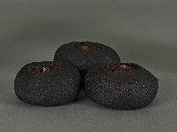 茶葉包組(酸柑茶)藏品圖，第1張