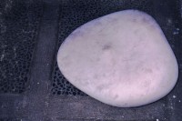 一元的圖片
