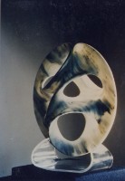 雙螺旋之起源的圖片