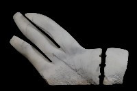 稻香飄揚的圖片