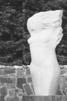 舊夢如風的圖片