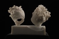 雕刻時光的圖片