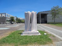 愛的朝露的圖片