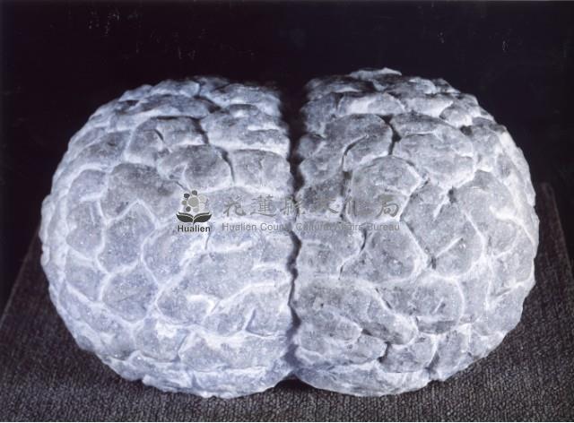 本質(初始的分裂)藏品圖，第1張