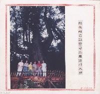 縣長親自勘查司馬庫斯神木群藏品圖，第1張