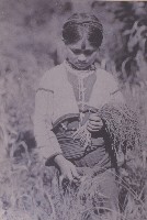 泰雅族少女手持小米穗藏品圖，第1張