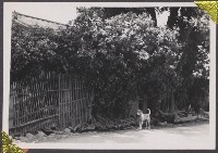 登錄號:2008.001.0656藏品圖，第1張