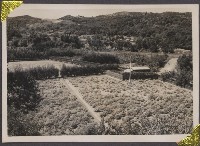登錄號:2008.001.0666藏品圖，第1張