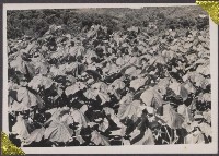 登錄號:2008.001.0667藏品圖，第1張