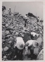 登錄號:2008.001.0931藏品圖，第1張