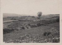 登錄號:2008.001.0933藏品圖，第1張