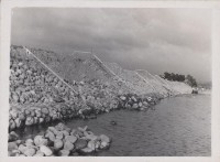 登錄號:2008.001.0937藏品圖，第1張