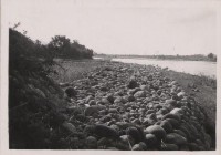 登錄號:2008.001.0942藏品圖，第1張