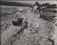 登錄號:2008.001.0943藏品圖，第1張