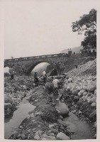 登錄號:2008.001.0952藏品圖，第1張