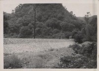 登錄號:2008.001.0959藏品圖，第1張