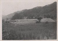 登錄號:2008.001.0964藏品圖，第1張