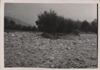 登錄號:2008.001.0965藏品圖，第1張