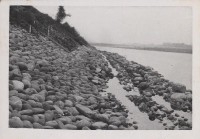 登錄號:2008.001.0972藏品圖，第1張