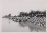 登錄號:2008.001.0975藏品圖，第1張