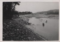 登錄號:2008.001.0976藏品圖，第1張