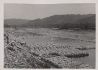 登錄號:2008.001.0978藏品圖，第1張