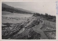 登錄號:2008.001.0982藏品圖，第1張