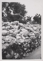 登錄號:2008.001.0993藏品圖，第1張