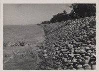 登錄號:2008.001.1010藏品圖，第1張