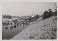 登錄號:2008.001.1022藏品圖，第1張