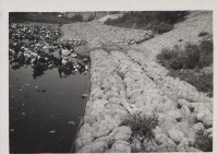 登錄號:2008.001.1024藏品圖，第1張