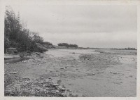 登錄號:2008.001.1042藏品圖，第1張