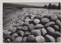 登錄號:2008.001.1047藏品圖，第1張