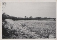 登錄號:2008.001.1051藏品圖，第1張